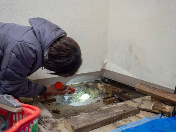 Best Mold Prevention Services  in Fairwood, MD
