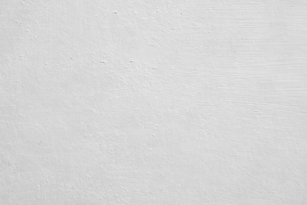 Mold Remediation for Vacation Homes in Fairwood, MD
