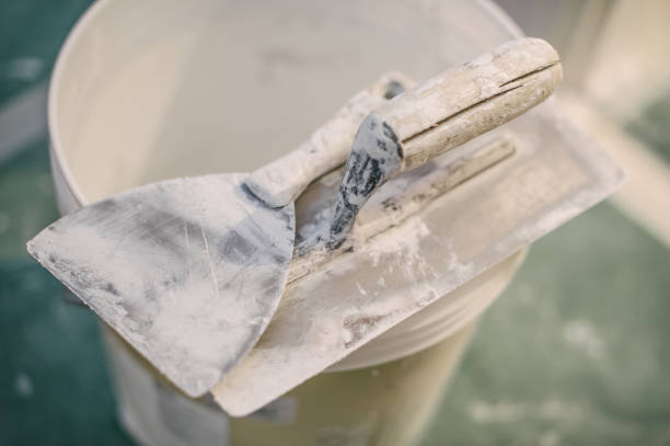 Best Basement Mold Removal  in Fairwood, MD